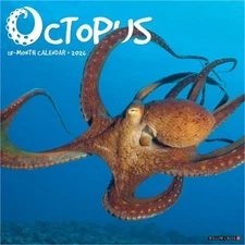 Octopus 12 X 12 Wall Calendar (Bookbook - Detail Unspecified)