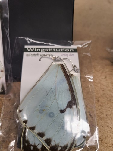 Wingstitution Earring And Pendant Set Mint Morpho Catenarius - Foto 3 di 5