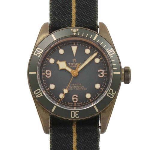 TUDOR Heritage Black Bay 79250BA Automatic Gray Dial Mens Watch 90259654