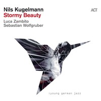 Nils Kugelmann: Stormy Beauty - - (Cd / S)