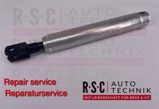 REPAIR-SERVICE: Hydraulikzylinder 12833501 (S...