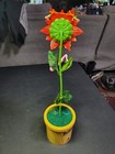 Picture 4 of 11