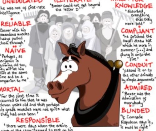 AQA GCSE Animal Farm All Characters Key Quotes Grade 9/A* Revision Notes - Picture 4 of 4