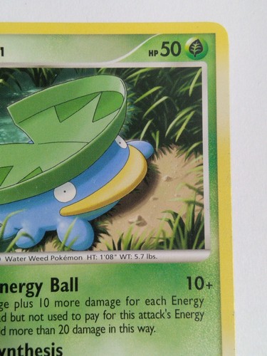 Lotad Platinum 81/127 Regular Common Pokemon Card - 第 4/10 張圖片