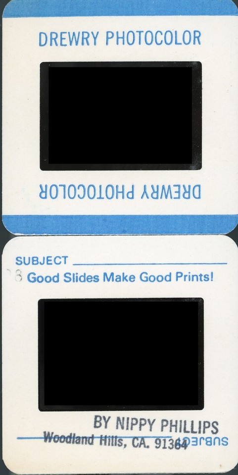 X314 Original 1975 35mm Slide Pin Up Vintage Beauty Model Posing Nude ...