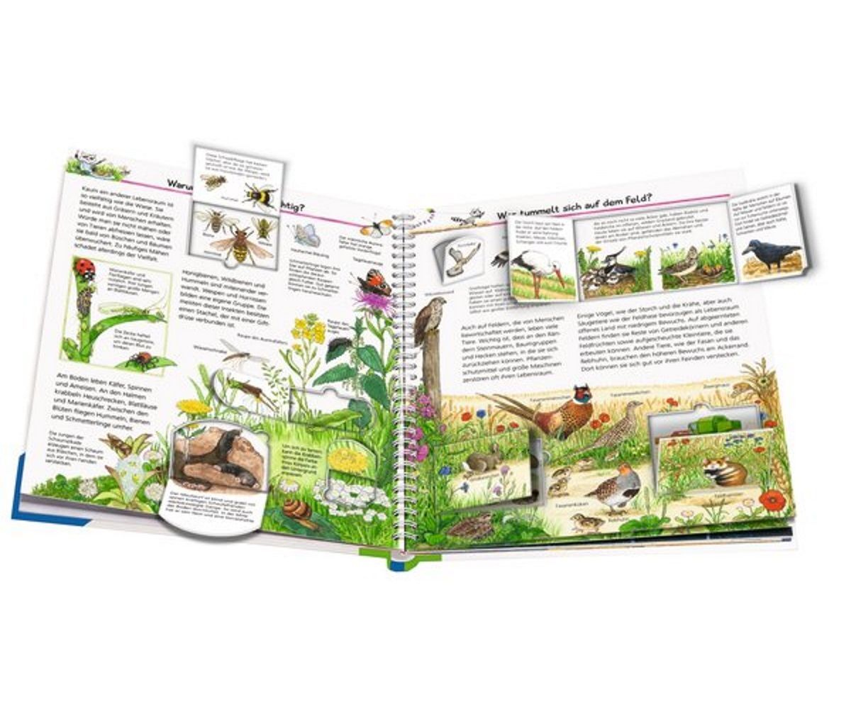 Thumbnail - Ravensburger Kinderbuch Wieso Weshalb Warum? Wir Entdecken Heimische
