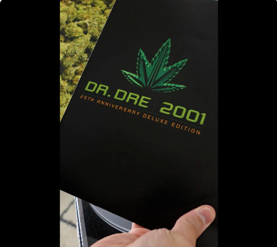 Dr. Dre 2001 レコード Dr. Dre - 2001 (25th Anniversary Edition) 2LP - Interscope