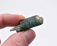 Green Tourmaline Crystal Scepter 1.75" - 11.0 grams - Naipa Mine, Mozambique