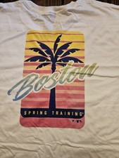 2026 BOSTON RED SOX SPRING TRAINING FANATICS BRAND TEE SIZE MENS XL NEW