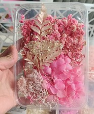 pink dried flowers 1 Box