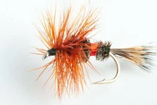 Royal Wulff Dry Fly, 6-Pack