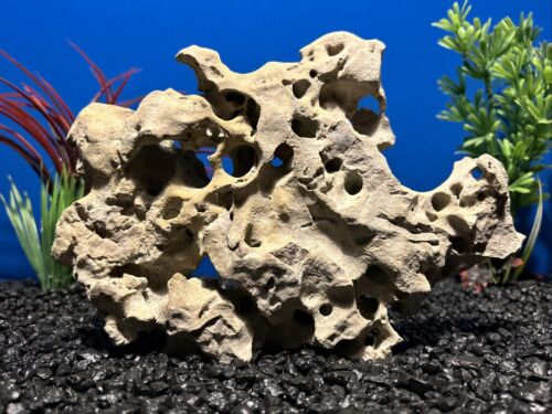 Large Texas Holey Rock All Natural Fish Aquarium African Cichlid Tank Stone