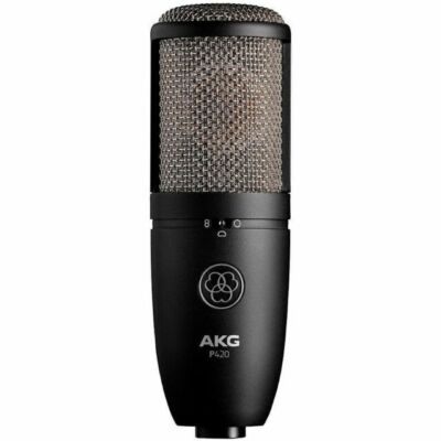 Akg P420 High-Performance Dual-Capsule True Condenser Microphone (885038037064)