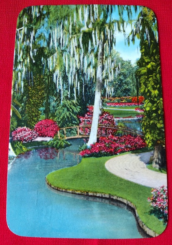 1955 Postcard-Florida's Tropical Wonderland Cypress Gardens Posted 2ct J A stamp