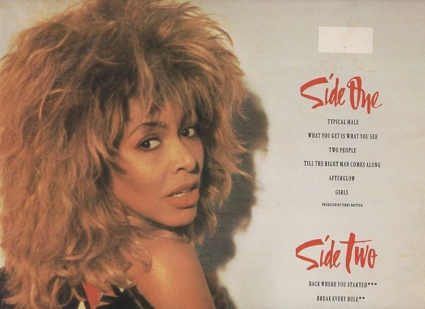 Tina Turner - Break  Every Rule Vinyl LP - Image 3 of 4