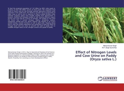 Effect of Nitrogen Levels and Cow Urine on Paddy (Oryza sativa L.) R. P. Singh S