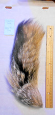 Gray Fox Tail for Fly Tying