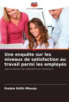 Une EnquêTe Sur Les Niveaux De Satisfaction Au Travail Parmi Les EmployéS Mbonjo