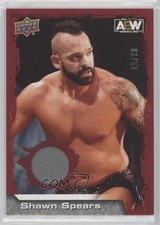 2022 AEW All Elite Wrestling Red Mat Relics 1/50 Tye Dillinger Shawn Spears d4v