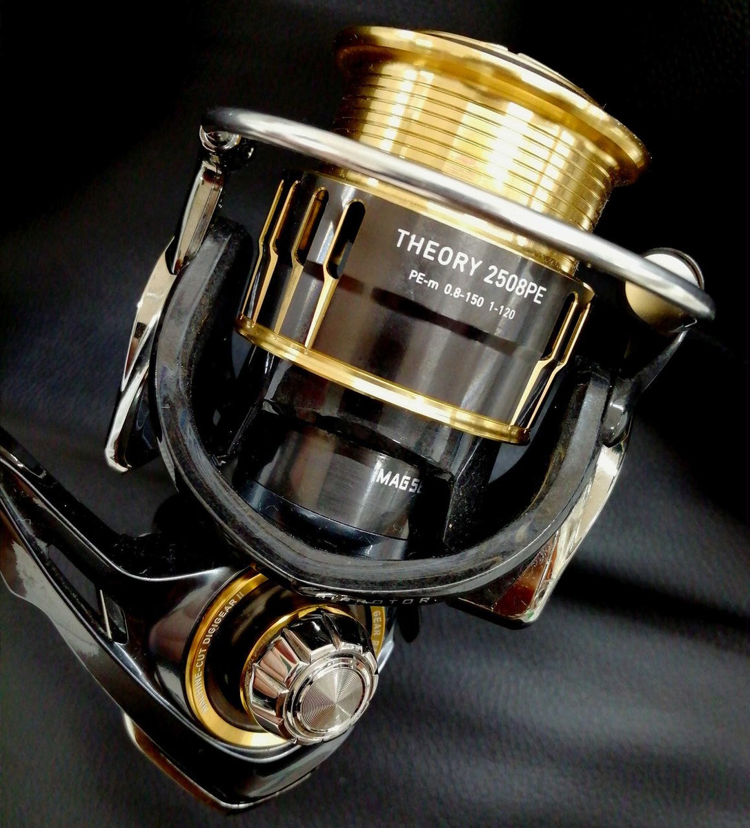 Daiwa 17 Theory 2508Pe Swimming Reel | eBay