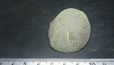 Beautiful design bronze Roman mount application once Gold Guilded 