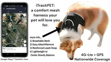 Pet GPS Tracker Collar Dog Cat Finder GSM Lost Locator 4G Smart Tracking