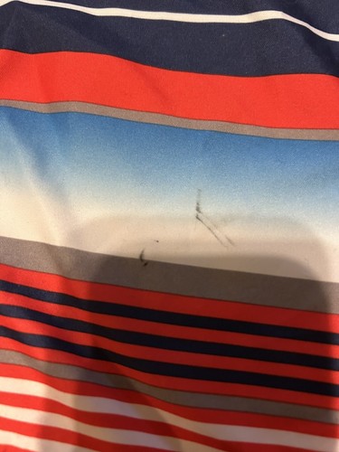 Arizona  Boys Youth Size Large 14/16 Husky Swim Trunks Shorts Lined Stripes K13 - Picture 2 of 5