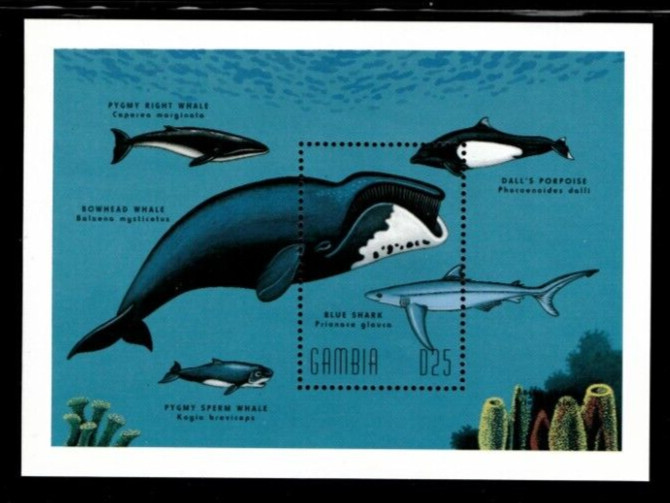 VINTAGE CLASSICS- Gambia 1995- Whales- Souvenir Stamp sheet- Scott 1697- MNH