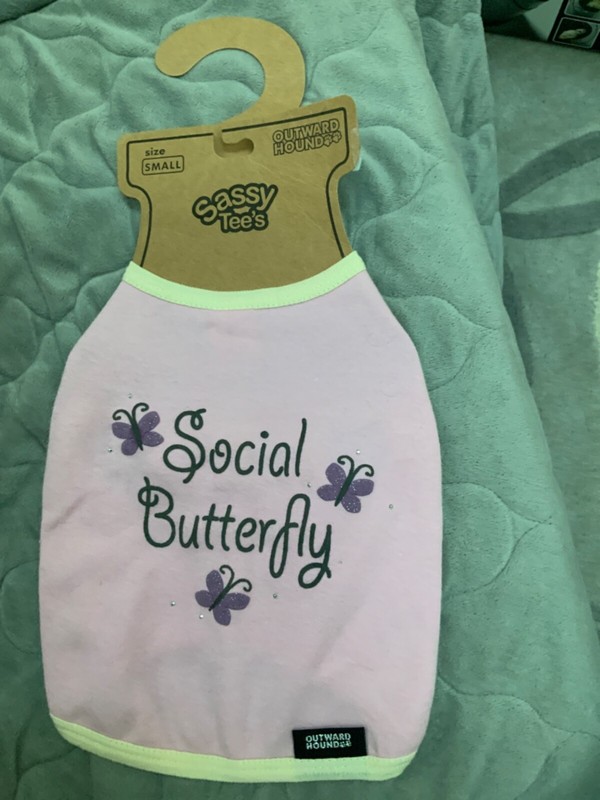 New Outward Hound Sassy Tee’s “Social Butterfly” Cotton Dog T Shirt Pink Small