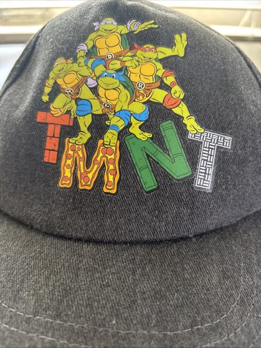 Kids Mutant Ninja Turtles Snapback Cap Nickelodeon Youth Hat Gray