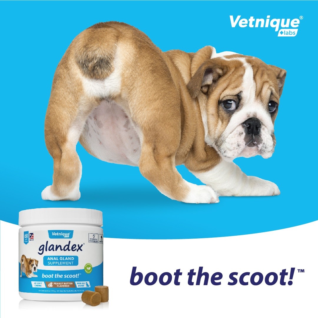 Glandex 015VL-GX44980 120 Count for sale online UK