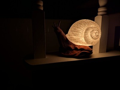 Snail Lamp with Shell Light, 3D Printed Nature Realism Styled Accent Lamp