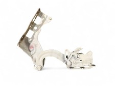 Mercedes-Benz AMG GT 4 x290 w290 2019 Scharnier Motorhaube 100802 UPG8715