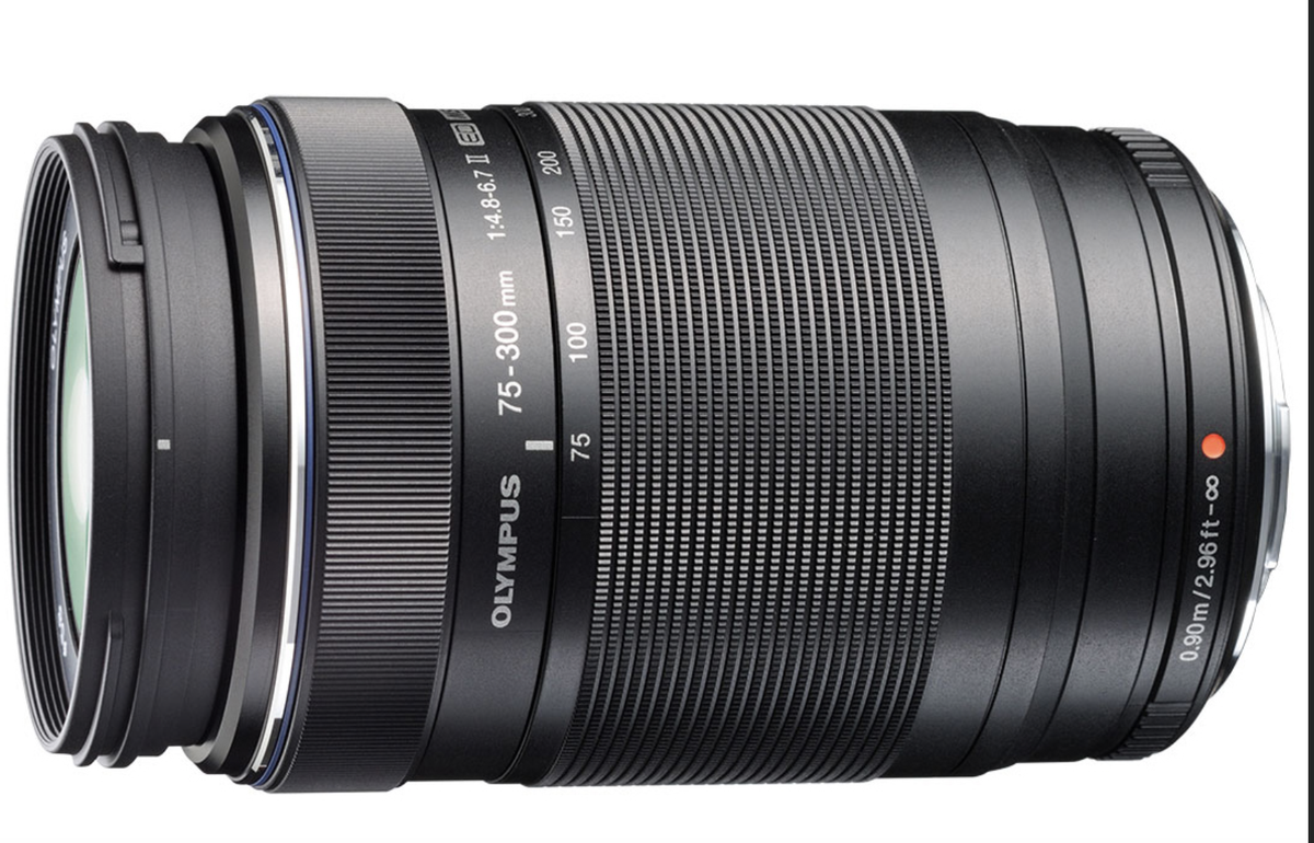 Lens Focus Flex Cable For Olympus 75-300mm F4.8-6.7 ED I/II (Gen1