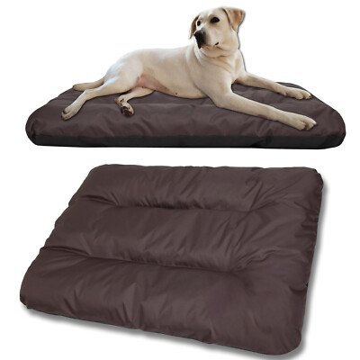 macs hunde trockenfutter MACs Dog Monoprotein Frisches Pferd main image 0