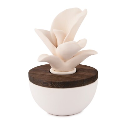 pajoma Raumduft Bambus mit Gipsblte Flora, 50 ml dekorativer Raumduft |  eBay.de