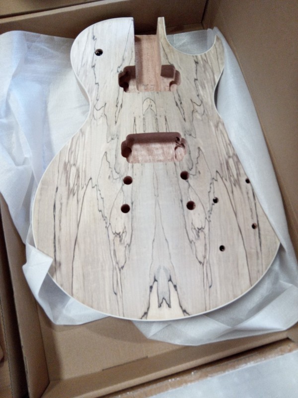 Open Box DIY Electric Guitar Rosewood FB Solid Mahogany Body Spalted Maple Top