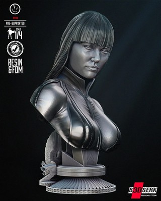 Silk Spectre Portrait Büste 3D gedruckt 16K unbemalt Resin Modellbausatz Maßstab 1:4