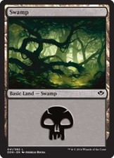 Swamp (41) 041/082 Lightly Played DDN Duel Decks: Speed vs. Cunning MTG Magic