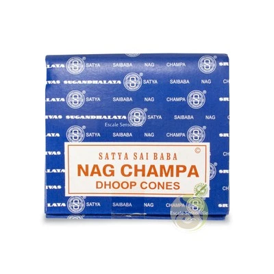 Encens cône nag champa Satya indien rituel prières incense parfum