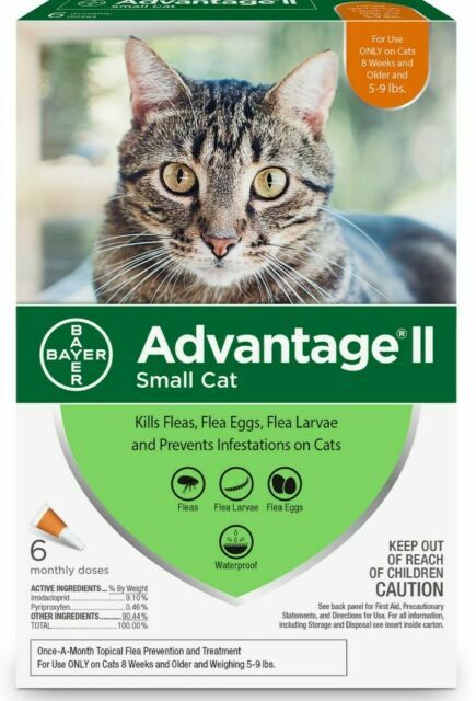 bayer cat flea medicine