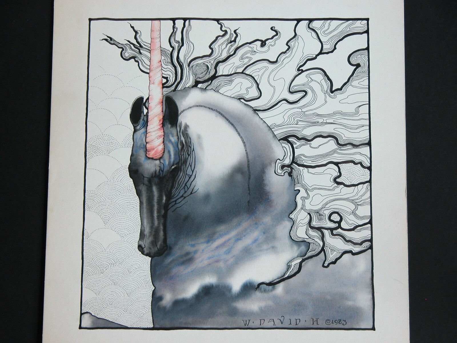 Bild 2 von 5