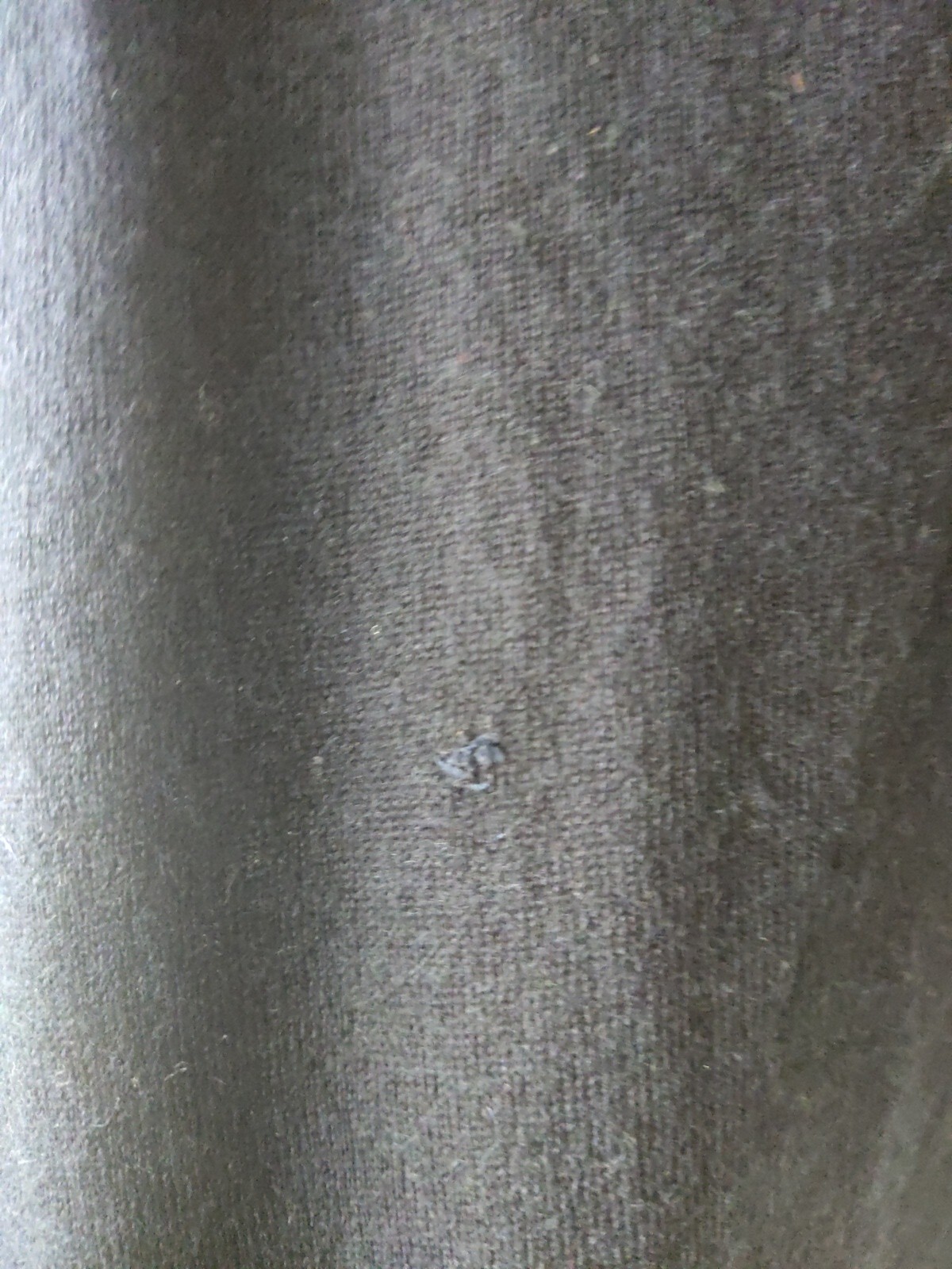 Picture 5 of 7
