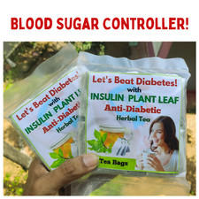 Insulin Plant Leaf Tea Bags Costus Igneus Leaves Diabetic Herbal Organic Tea