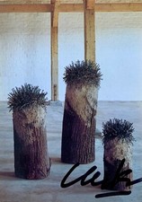 GÜNTHER UECKER orig. handsignierte Kunstpostkarte Wald 1988 München Nägel RAR