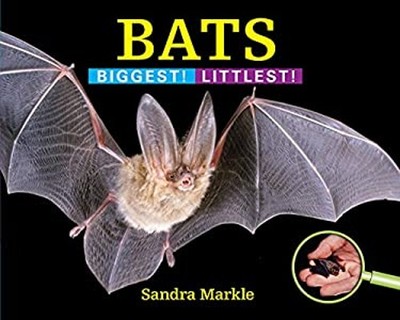 Bats : Biggest! Littlest! Picture Book Sandra Markle