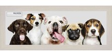 Panoramic Minimalist White Picture Frame - UV Acrylic, Backing, Hanging Hardware
