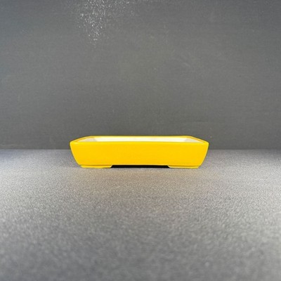 9-inch Glazed Ceramic Bonsai Pot - Yellow Rectangle
