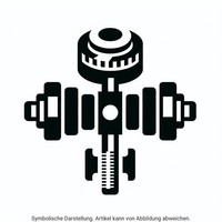 Schaeffler INA Nockenwellenverstellersatz 427 1282 30 FüR Ford Fiesta 7 HJ HF 4