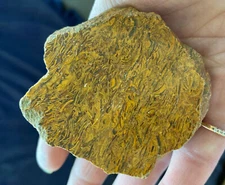 Natural Fossil Elephant Skin Jasper Freeform Crystal Gem Healing Reiki